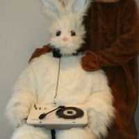 the-glue-charts-picture-cover