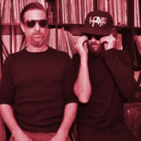 woolfy-vs-projections-charts-picture-cover