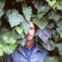 this-soft-machine-charts-picture-cover