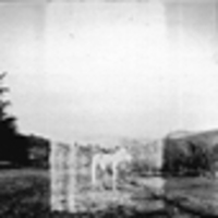 wrong-steps-charts-picture-cover