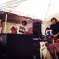 doubt-charts-picture-cover