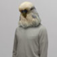 jamie-paton-cage-aviary-charts-picture-cover