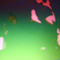 panoram-charts-picture-cover