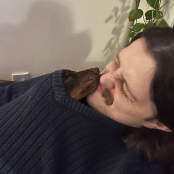 josh-dec-22-charts-picture-cover