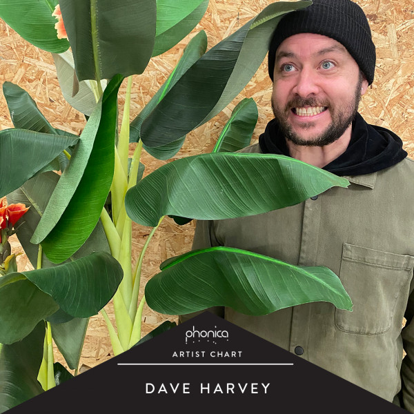 dave-harvey-charts-picture-cover